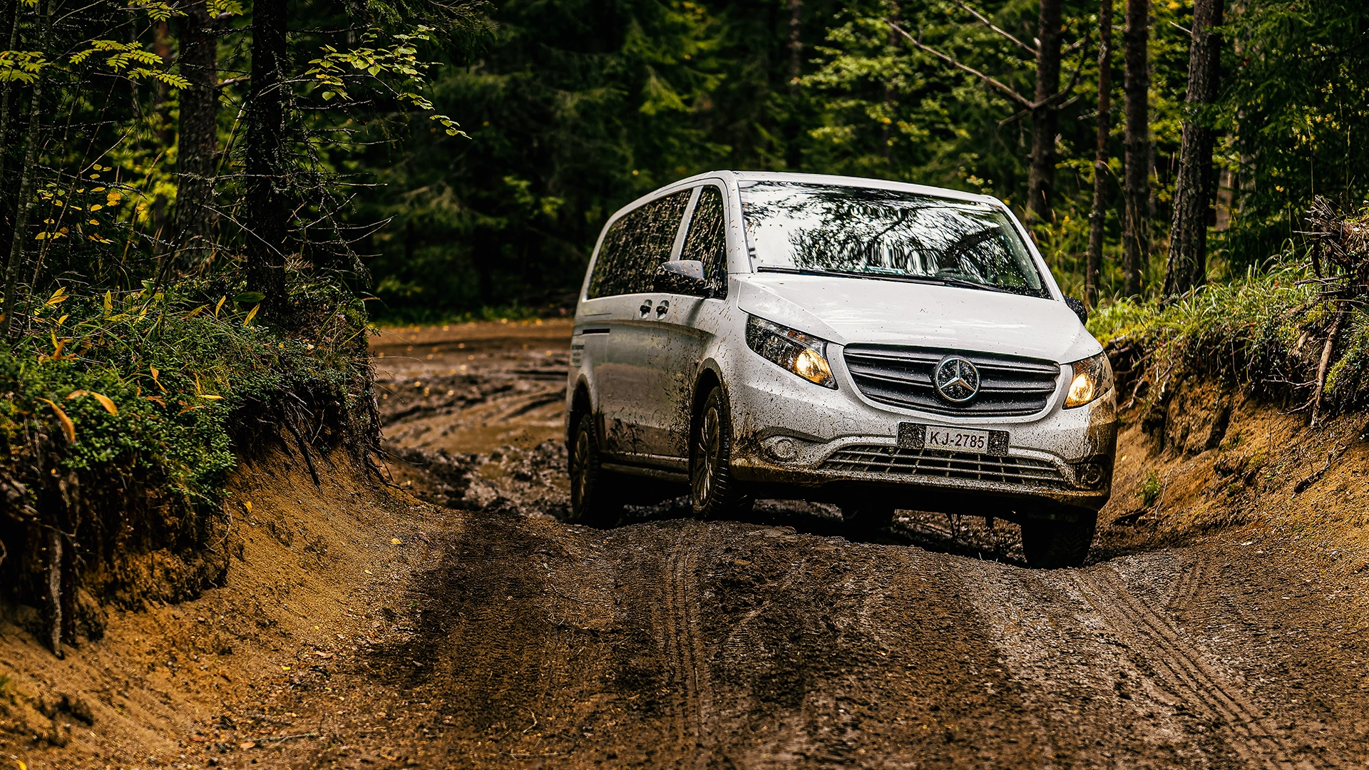 Pilnpiedzinas Vito mežā