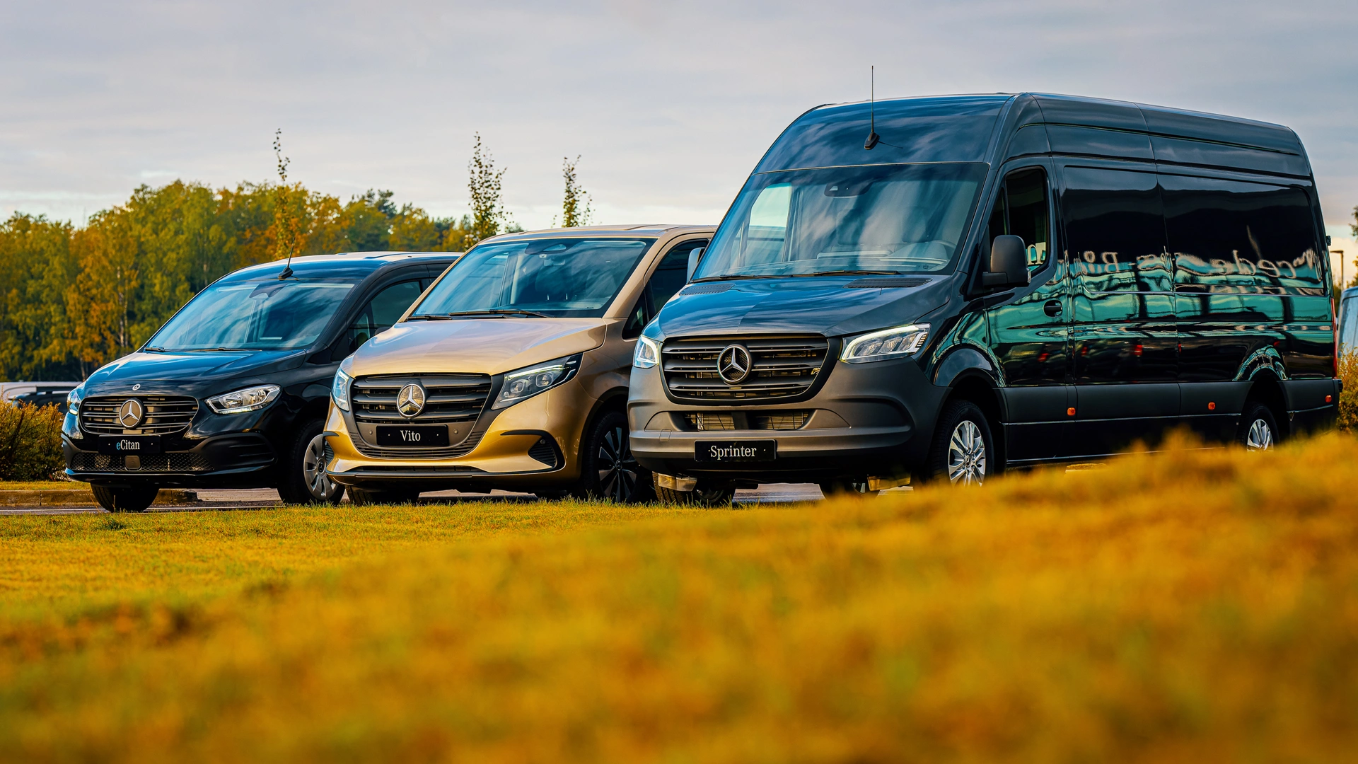 Dažādas ietilpības Mercedes-Benz mikroautobusi uz lauka